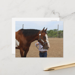 Carte Postale Présentation de chevaux de selle Paint à l'exposit