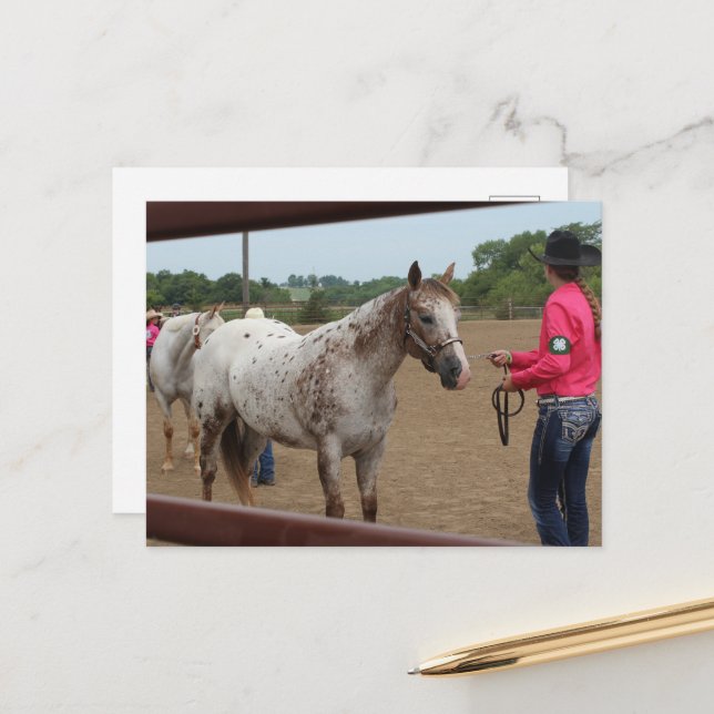 Carte Postale Présentation de chevaux Spotted Pony of America  (Devant/Arrière en situation)