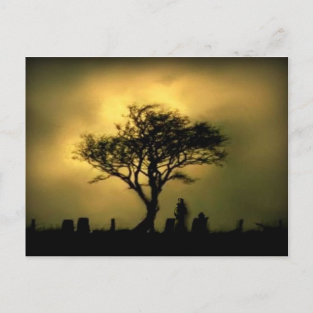 Carte Postale Presque le coucher du soleil (Devant)