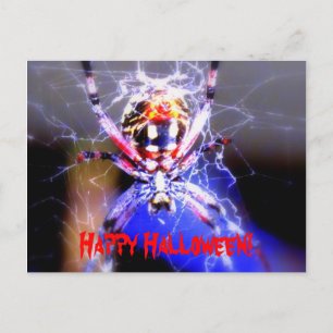 Carte Postale Prêt À Manger