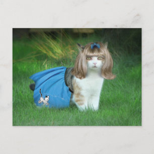 Carte Postale Prêt pour le Sock Hop !