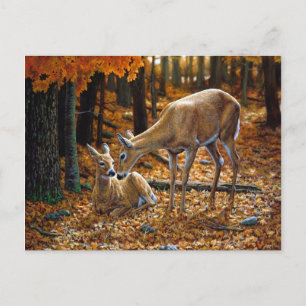 Carte Postale Pretty Deer and Fawn Autumn Leaves