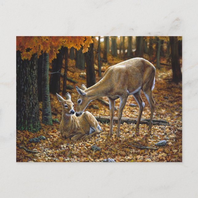 Carte Postale Pretty Deer and Fawn Autumn Leaves (Devant)