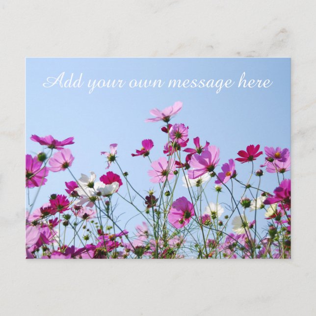 Carte Postale Pretty Pink Meadow Custom Message (Devant)