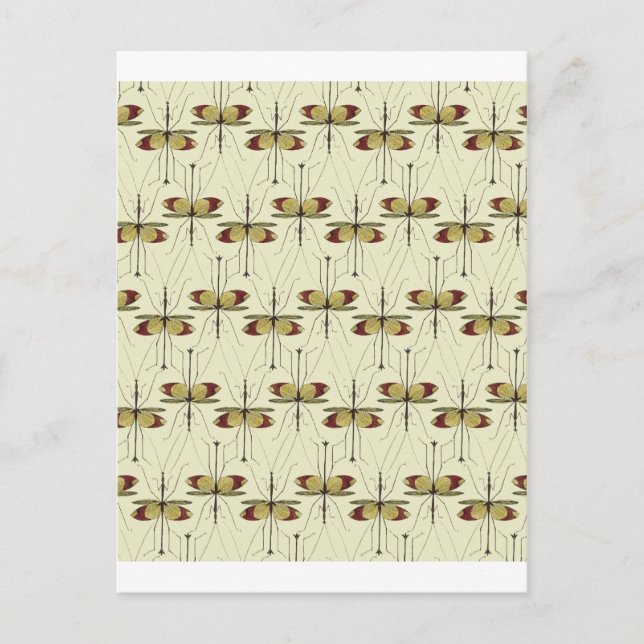 Carte Postale Prier Mantis (Devant)