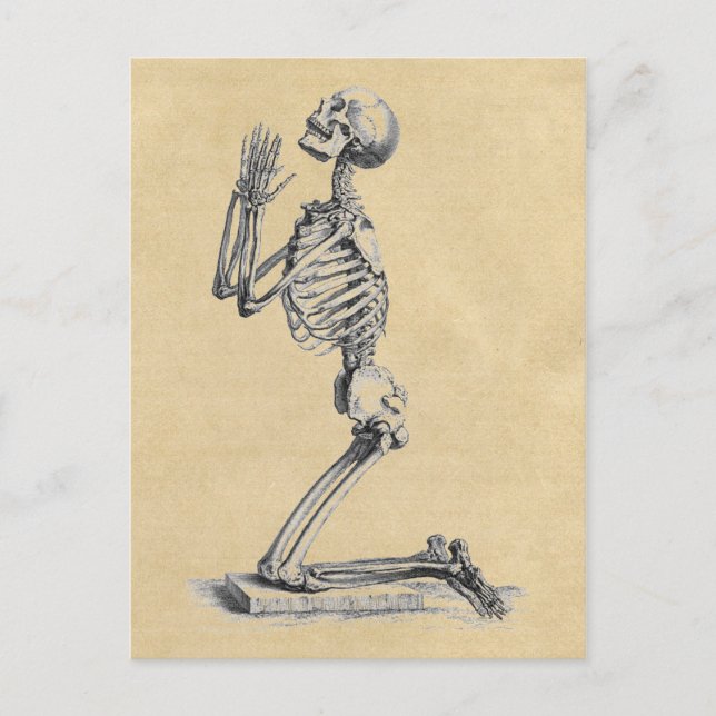 Carte Postale Prier Squelette Anatomie des os (Devant)