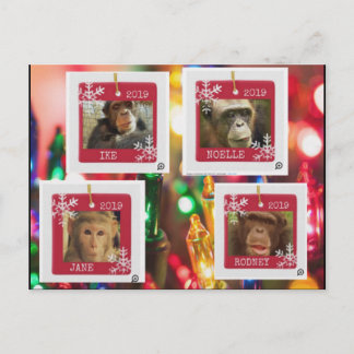 Carte Postale primass rescue cindy postcard