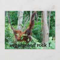 Primate Vegetariens Rock!
