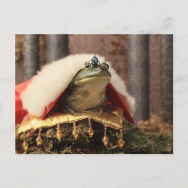 Carte Postale Prince de grenouille (Devant)