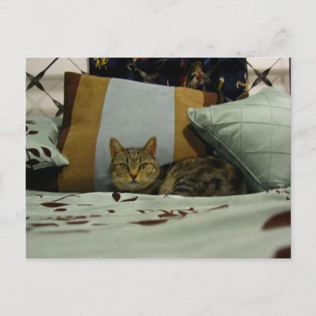 Carte Postale Princess Indigo (Devant)