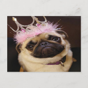 Carte Postale Princesse Pug