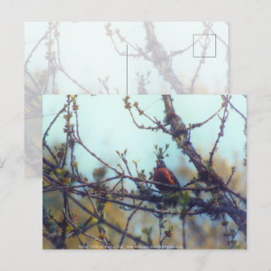 Carte Postale Printemps