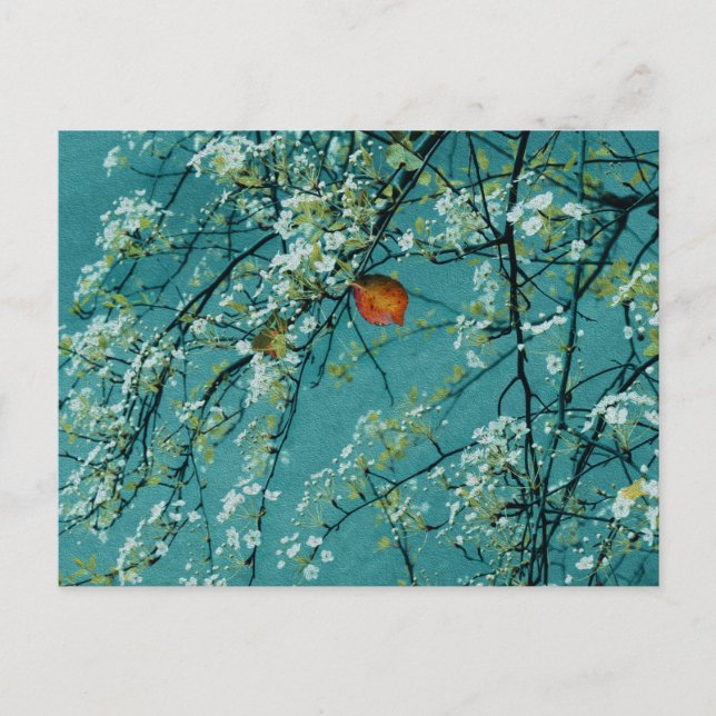 Carte Postale Printemps (Devant)