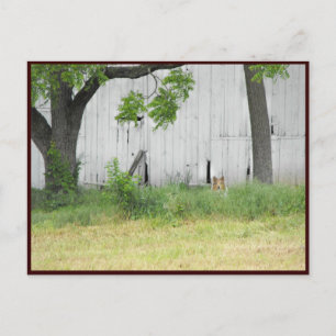 Carte Postale ~ Printemps 36 ~