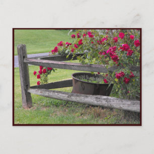 Carte Postale ~ Printemps 41 ~