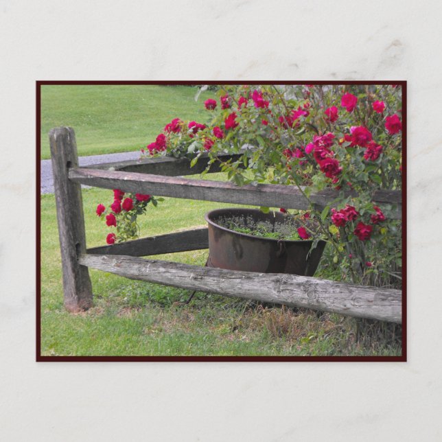 Carte Postale ~ Printemps 41 ~ (Devant)