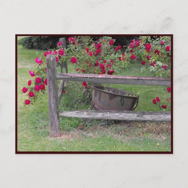 Carte Postale ~ Printemps 42 ~ (Devant)