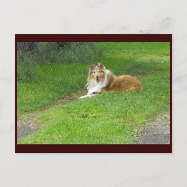 Carte Postale ~ Printemps 46 ~ (Devant)