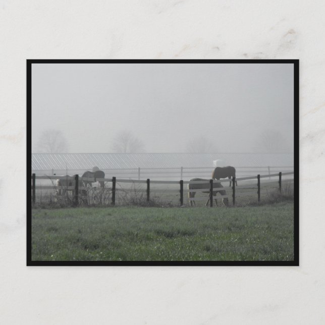 Carte Postale ~ Printemps 79 ~ (Devant)