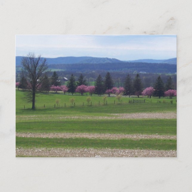 Carte Postale Printemps À Gettysburg (Devant)