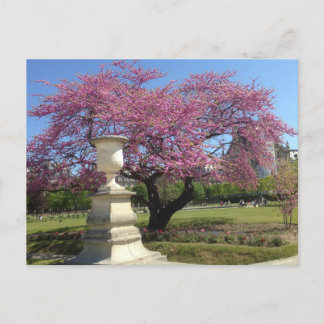 Carte postale Printemps à Paris