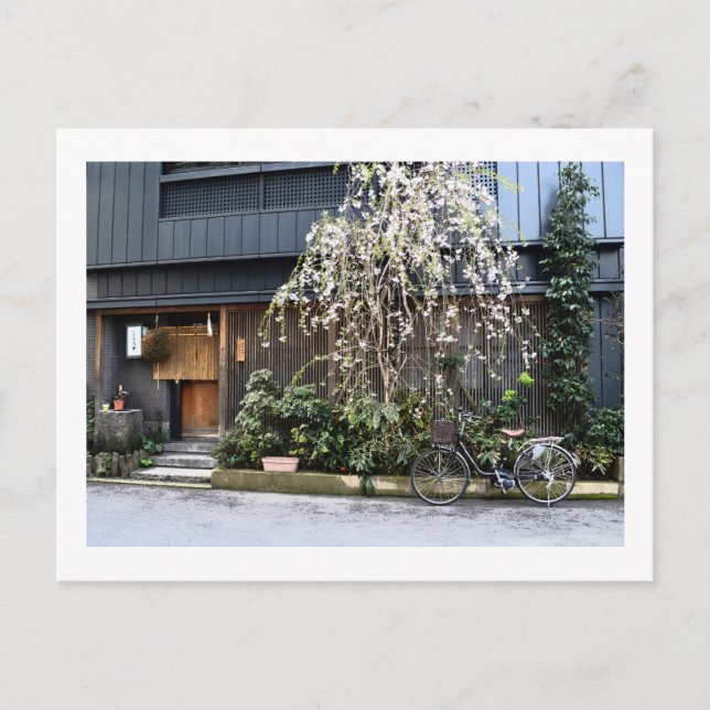 Carte Postale Printemps à Tokyo (Devant)