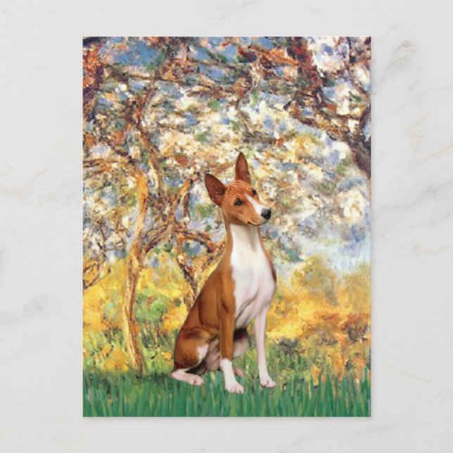 Carte Postale Printemps - Basenji (Devant)