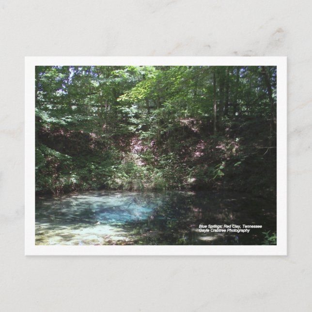 Carte Postale Printemps bleu à Red Clay, Tennessee (Devant)