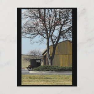 Carte Postale ~ Printemps dans le comté de Lancaster ~ 96