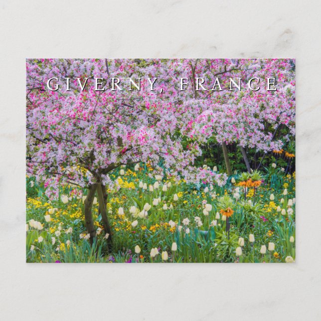 Carte Postale Printemps dans le jardin de Claude Monet (Devant)