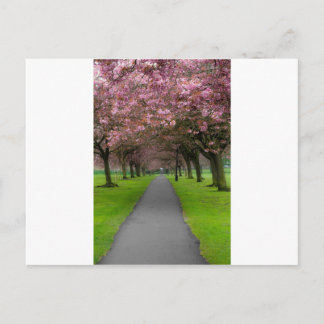 Carte Postale Printemps dans le parc