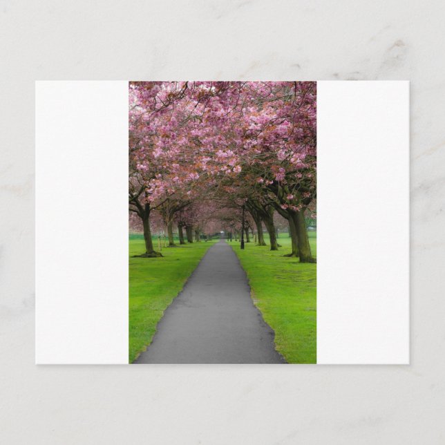 Carte Postale Printemps dans le parc (Devant)
