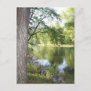 Carte postale "Printemps dans l'est du Tennessee"