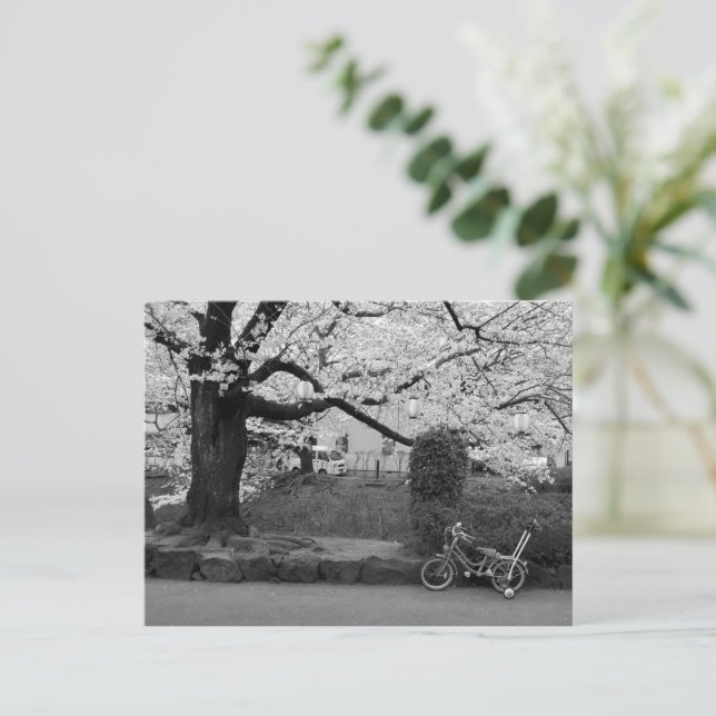 Carte Postale Printemps dans l'ouest de Tokyo (Debout devant)