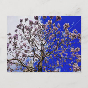 Carte Postale Printemps de Manchester