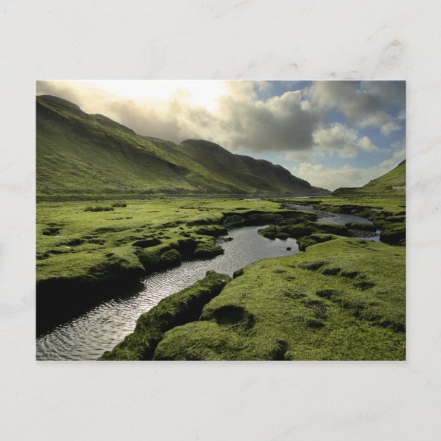 Carte Postale Printemps écossais (Devant)