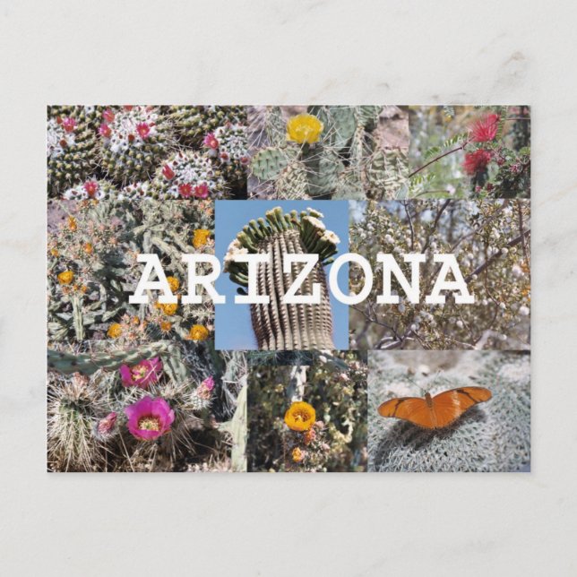 Carte postale Printemps en Arizona (Devant)