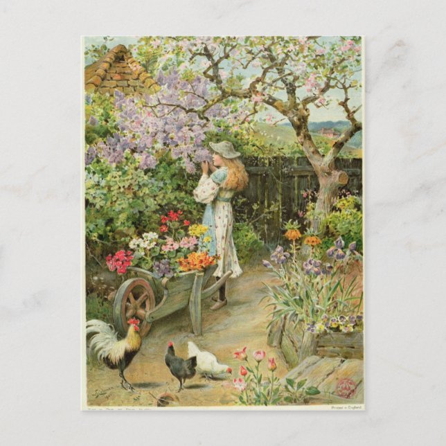 Carte Postale Printemps fleuris, tiré de la Pears Annual, 1902 (Devant)