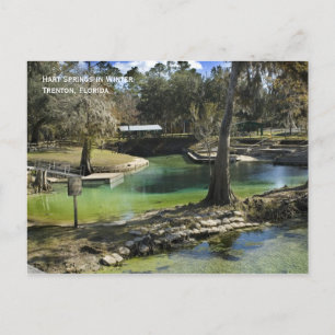 Carte postale Printemps hiver