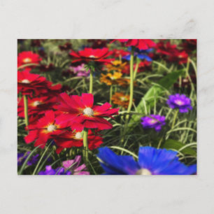 Carte postale Printemps Iridescente