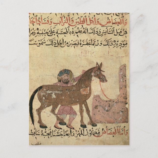 Carte Postale Prise en charge du cheval, illustration (Devant)