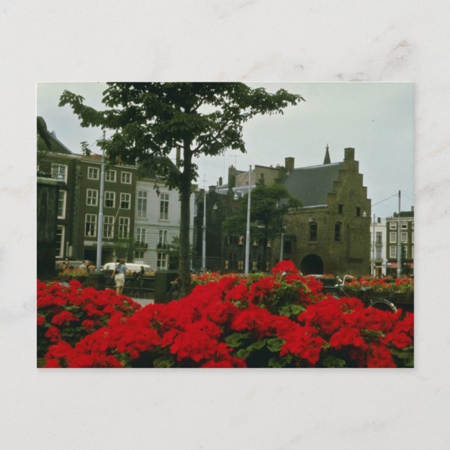 Carte Postale Prison Médiévale À La Haye fleurs (Devant)