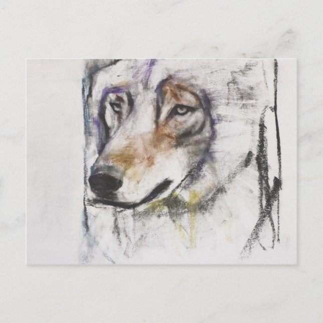 Carte Postale Processo Al Lupo (Devant)