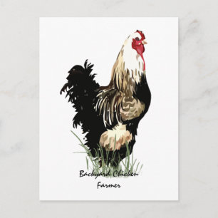 Carte Postale Producteur de poulet jardin avec design de coq
