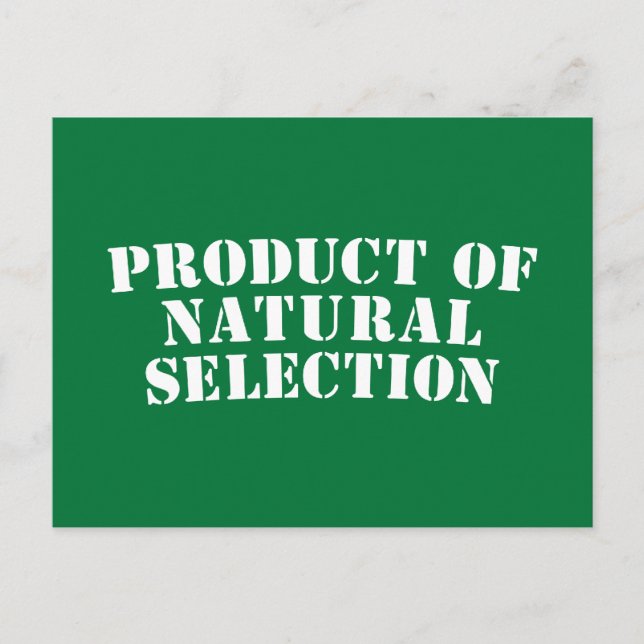 Carte Postale Produit De Sélection Naturelle (Devant)