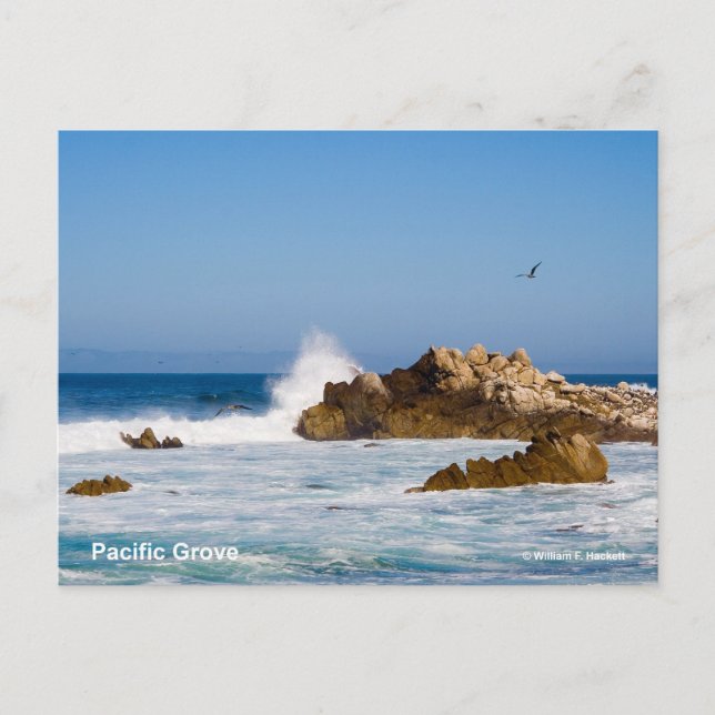 Carte Postale Produits Pacific Grove California (Devant)