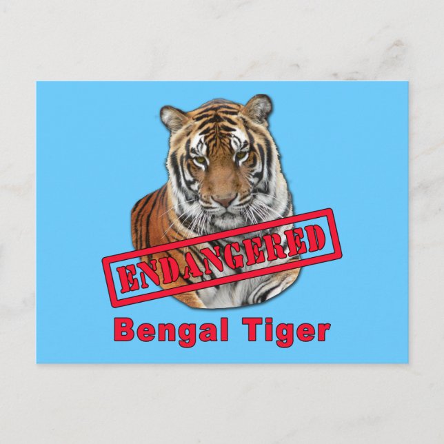 Carte Postale Produits tigres du Bengale en danger (Devant)