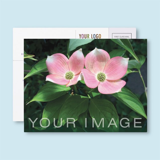 Carte postale professionnelle personnalisée avec l (MISOOK Business Postcard with Photo and Logo)