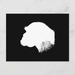 Carte Postale Profil de chimpanzé blanc