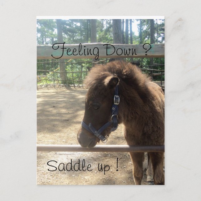 Carte Postale profil de poney (Devant)